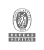 700px_Logo-BV_RGB-GRAY (transparent backgroung)